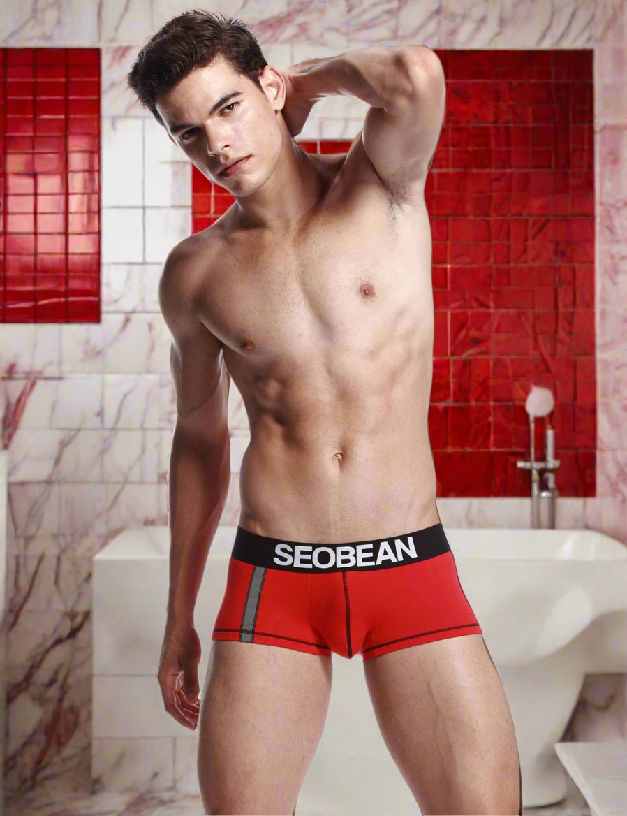 Men's Boxer SEOBEAN 