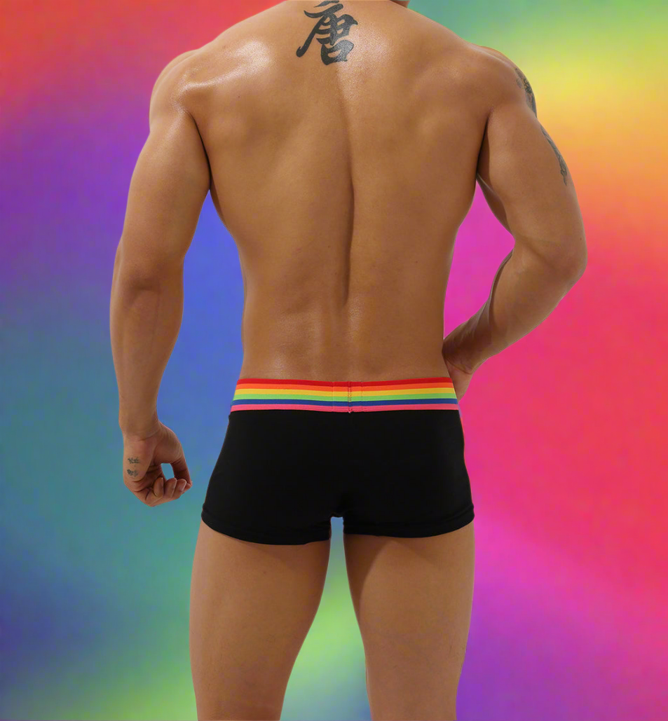 Boxer Noir  Homme SEOBEAN Rainbow